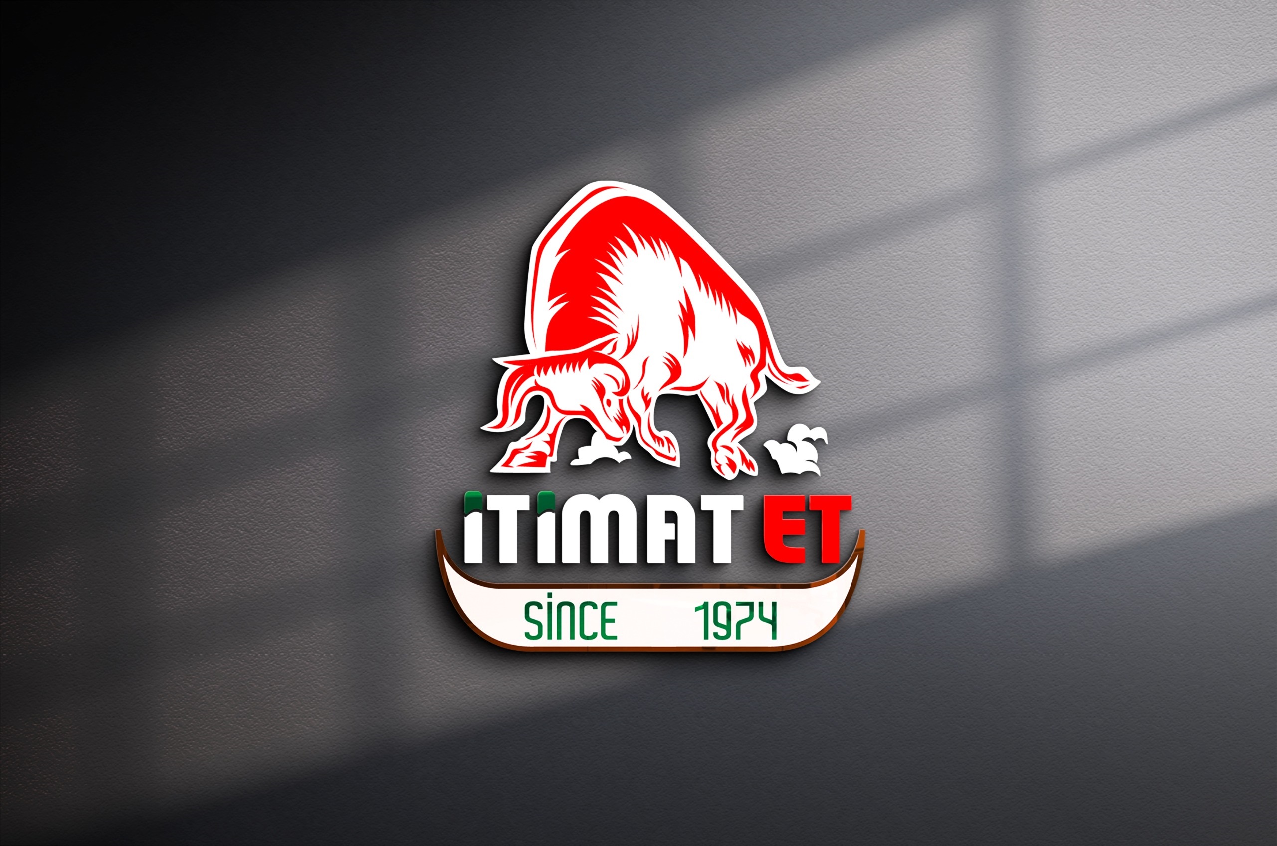 Kurumsal Logo Tasarım